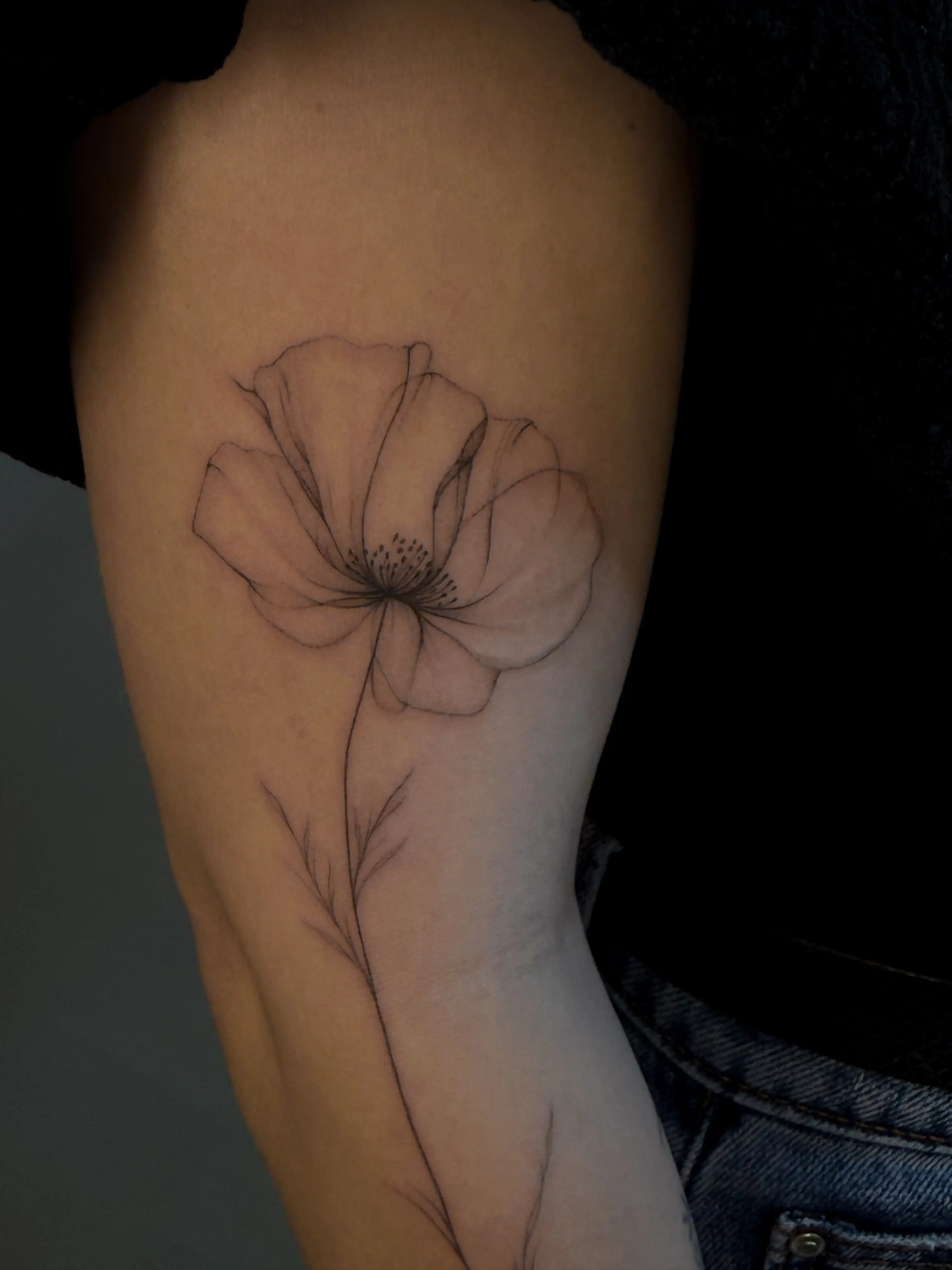 Fineline Tattoo München – EFARÉ Aesthetics