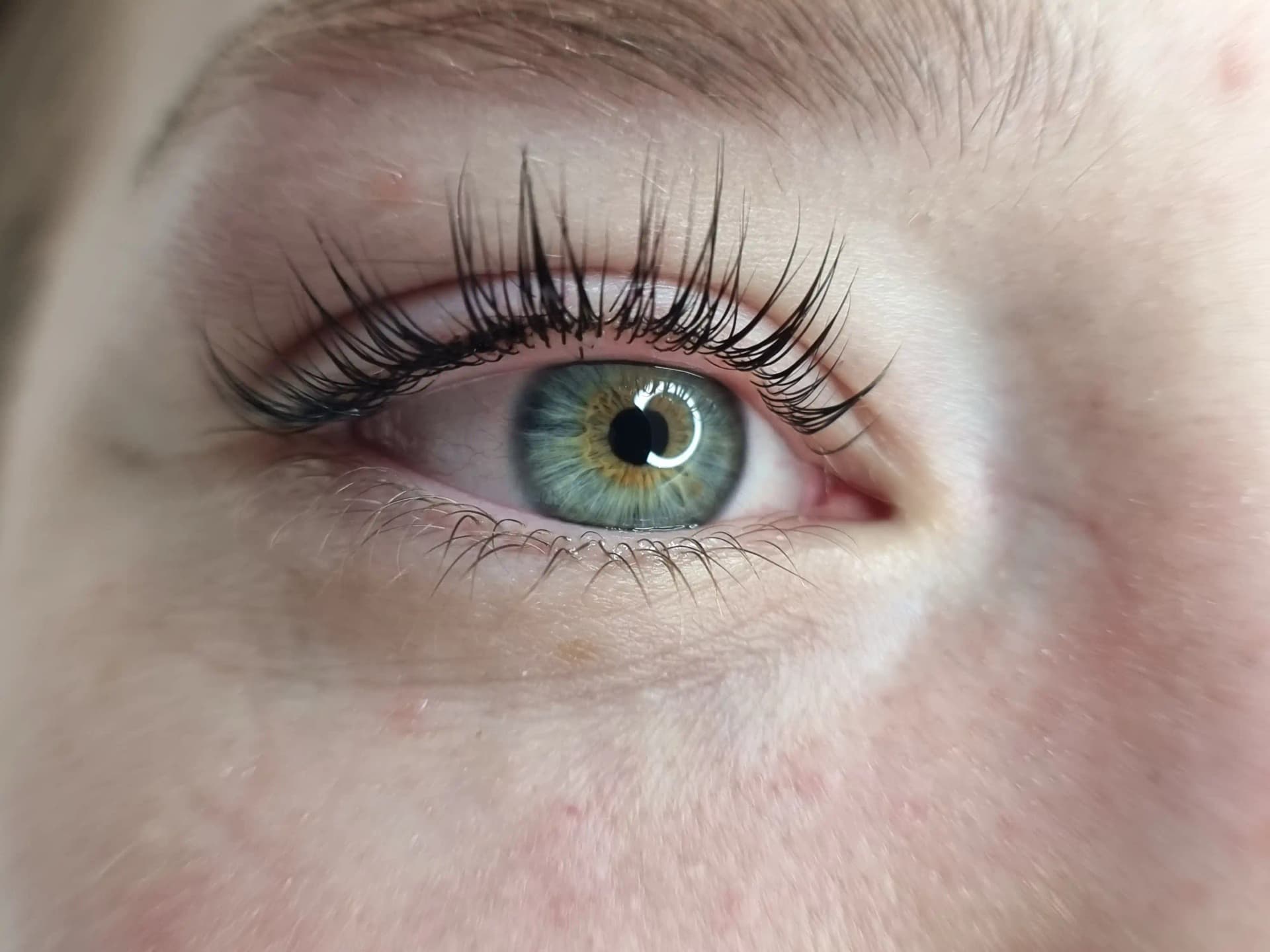 Wimpern
