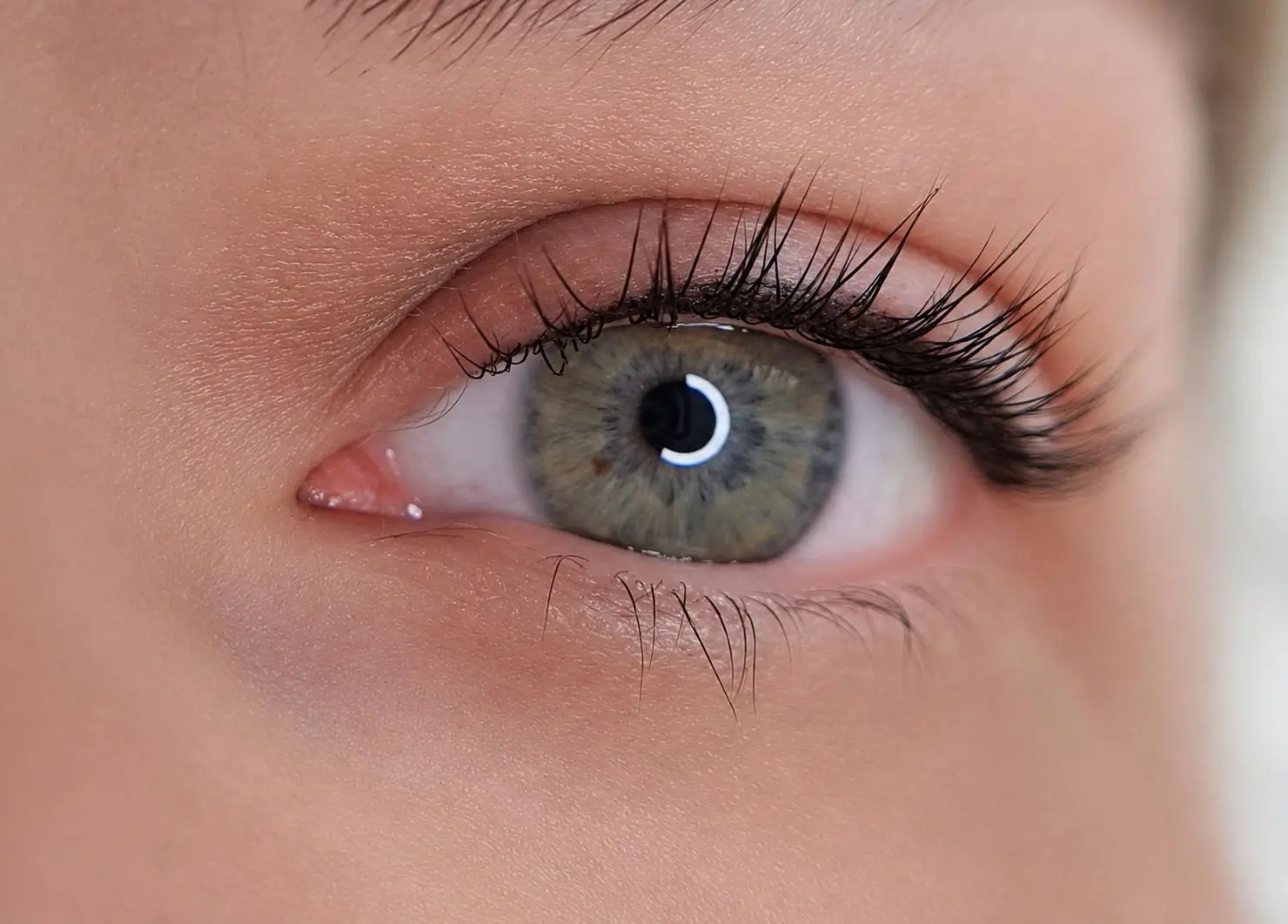 Wimpernkranzverdichtung München – volles Auge mit dichten Wimpern bei EFARÉ Aesthetics